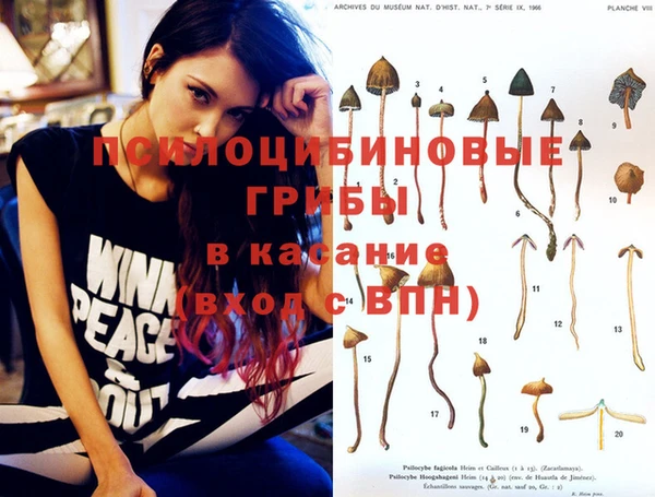 меф Алексин