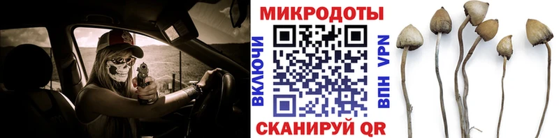 Псилоцибиновые грибы мухоморы  наркота  Ардон 